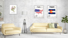 Load image into Gallery viewer, Colorado Flag Gifts Home Decor Wall Art Canvas Print with Custom Picture Frame