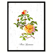 Load image into Gallery viewer, Yellow Rose Flower Canvas Print with Picture Frame Floral Home Decor Wall Art Living Room Decoration Gifts