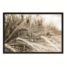 Load image into Gallery viewer, Nutritious Nature Barley Paddy Field Sepia Landscape decor, National Park, Sightseeing, Attractions, Black Frame