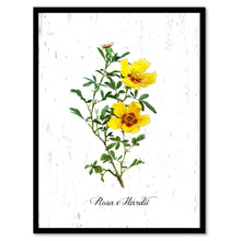 Load image into Gallery viewer, Yellow Rose Flower Canvas Print with Picture Frame Floral Home Decor Wall Art Living Room Decoration Gifts