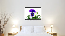 Load image into Gallery viewer, Pansy Flower Framed Canvas Print Home Décor Wall Art
