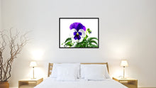 Load image into Gallery viewer, Pansy Flower Framed Canvas Print Home Décor Wall Art