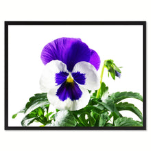 Load image into Gallery viewer, Pansy Flower Framed Canvas Print Home Décor Wall Art