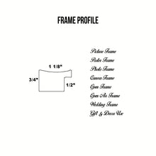 Load image into Gallery viewer, Silver Wood Frame Signature Framed Perfect Modern Comtemporary Photo Art Gallery Poster Photograph Home Decor