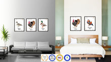 Load image into Gallery viewer, Turkey Bird Canvas Print, Black Picture Frame Gift Ideas Home Decor Wall Art Decoration