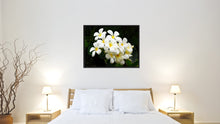 Load image into Gallery viewer, White Plumeria Flower Framed Canvas Print Home Décor Wall Art