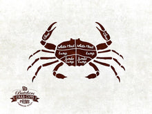Load image into Gallery viewer, Beef, Chicken, Duck, Goose, Lamb, Pork, Turkey, Crab, Fish, Lobster, Shrimp Meat Cow Cuts Butchers Chart