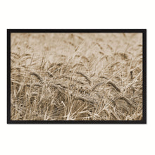 Load image into Gallery viewer, Golden rye paddy ready for harvest Sepia Landscape decor, National Park, Sightseeing, Attractions, Black Frame