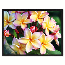 Load image into Gallery viewer, Plumeria Flower Framed Canvas Print Home Décor Wall Art
