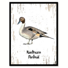 Load image into Gallery viewer, Northern Pintail Bird Canvas Print, Black Picture Frame Gift Ideas Home Decor Wall Art Decoration