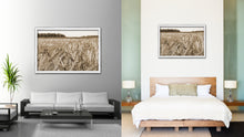Load image into Gallery viewer, Barley paddy Sepia Landscape decor, National Park, Sightseeing, Attractions, White Wash Wood Frame