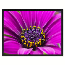 Load image into Gallery viewer, Purple Gazania Flower Framed Canvas Print Home Décor Wall Art