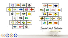 Load image into Gallery viewer, Aqua Tropical Fish Painting Reproduction Gifts Home Decor Wall Art Canvas Prints Picture Frames