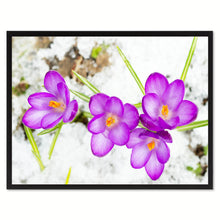 Load image into Gallery viewer, Purple Crocuses Flower Framed Canvas Print Home Décor Wall Art