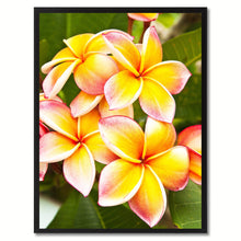 Load image into Gallery viewer, Plumeria Flower Framed Canvas Print Home Décor Wall Art