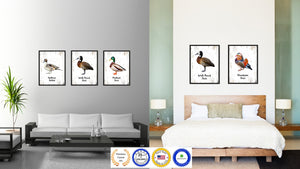 White Faced Duck Bird Canvas Print, Black Picture Frame Gift Ideas Home Decor Wall Art Decoration
