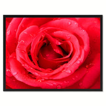 Load image into Gallery viewer, Red Rose Flower Framed Canvas Print Home Décor Wall Art