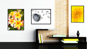 Plumeria Flower Framed Canvas Print Home Décor Wall Art