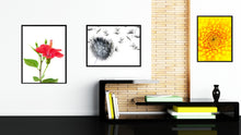 Load image into Gallery viewer, Red Hibiscus Flower Framed Canvas Print Home Décor Wall Art