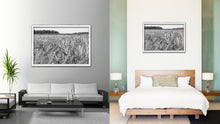 Load image into Gallery viewer, Barley paddy Black and White Landscape decor, National Park, Sightseeing, Attractions, White Wash Wood Frame