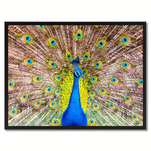 Load image into Gallery viewer, Peacock Bird Canvas Print, Black Picture Frame Gift Ideas Home Decor Wall Art Decoration