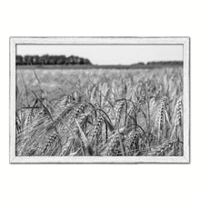 Load image into Gallery viewer, Barley paddy Black and White Landscape decor, National Park, Sightseeing, Attractions, White Wash Wood Frame