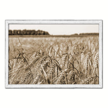 Load image into Gallery viewer, Barley paddy Sepia Landscape decor, National Park, Sightseeing, Attractions, White Wash Wood Frame
