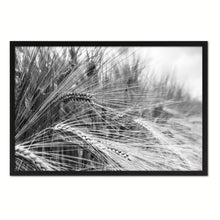 Load image into Gallery viewer, Nutritious Nature Barley Paddy Field Black and White Landscape decor, National Park, Sightseeing, Attractions, Black Frame
