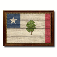 Load image into Gallery viewer, Magnolia City Mississippi State Texture Flag Canvas Print Brown Picture Frame