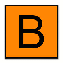 Load image into Gallery viewer, Alphabet B Orange Canvas Print Black Frame Kids Bedroom Wall Décor Home Art