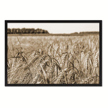 Load image into Gallery viewer, Barley paddy Sepia Landscape decor, National Park, Sightseeing, Attractions, Black Frame