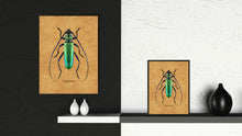 Load image into Gallery viewer, Capricorn Brown Canvas Print, Picture Frames Home Decor Wall Art Gifts