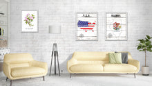 Load image into Gallery viewer, Illinois Flag Gifts Home Decor Wall Art Canvas Print with Custom Picture Frame
