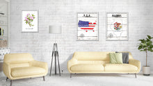 Load image into Gallery viewer, Illinois Flag Gifts Home Decor Wall Art Canvas Print with Custom Picture Frame