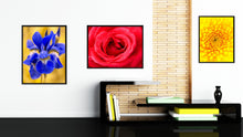 Load image into Gallery viewer, Red Rose Flower Framed Canvas Print Home Décor Wall Art