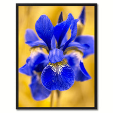 Load image into Gallery viewer, Blue Iris Flower Framed Canvas Print Home Décor Wall Art
