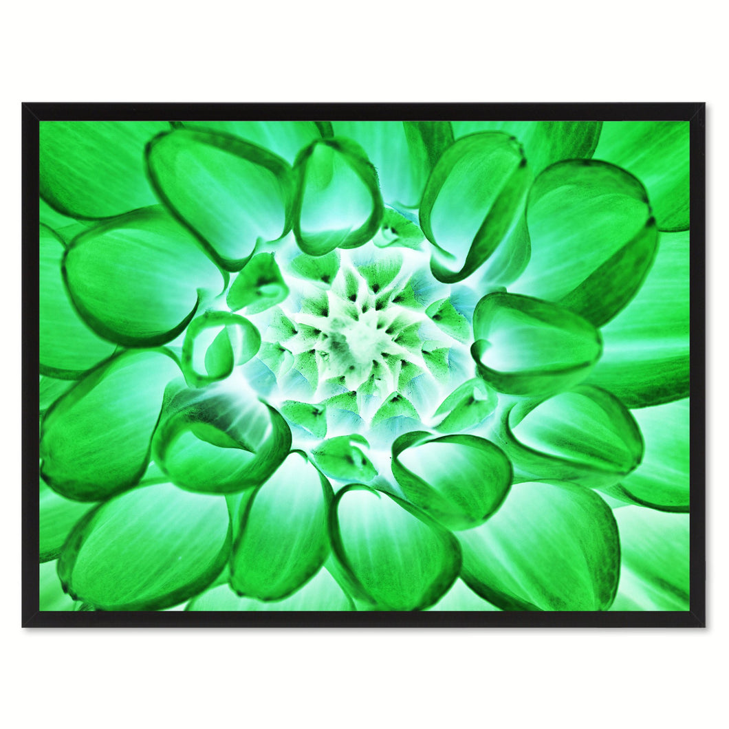 Green Chrysanthemum Flower Framed Canvas Print Home Décor Wall Art