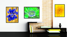 Load image into Gallery viewer, Green Gazania Flower Framed Canvas Print Home Décor Wall Art