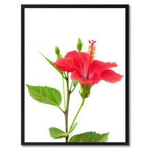 Load image into Gallery viewer, Red Hibiscus Flower Framed Canvas Print Home Décor Wall Art