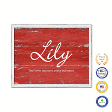 Load image into Gallery viewer, Lily Name Plate White Wash Wood Frame Canvas Print Boutique Cottage Decor Shabby Chic