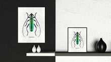 Load image into Gallery viewer, Capricorn White Canvas Print, Picture Frames Home Decor Wall Art Gifts