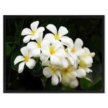 Load image into Gallery viewer, White Plumeria Flower Framed Canvas Print Home Décor Wall Art