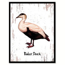 Load image into Gallery viewer, Eider Duck Bird Canvas Print, Black Picture Frame Gift Ideas Home Decor Wall Art Decoration