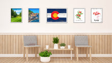 Load image into Gallery viewer, Colorado State Flag Shabby Chic Gifts Home Decor Wall Art Canvas Print, White Wash Wood Frame
