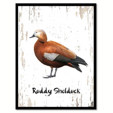 Load image into Gallery viewer, Ruddy Shelduck Bird Canvas Print, Black Picture Frame Gift Ideas Home Decor Wall Art Decoration