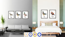 Load image into Gallery viewer, Wood Duck Bird Canvas Print, Black Picture Frame Gift Ideas Home Decor Wall Art Decoration