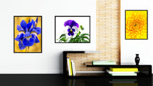 Load image into Gallery viewer, Pansy Flower Framed Canvas Print Home Décor Wall Art