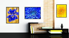 Load image into Gallery viewer, Blue Chrysanthemum Flower Framed Canvas Print Home Décor Wall Art