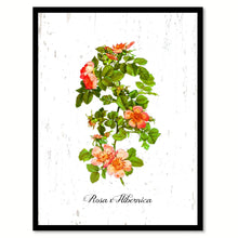 Load image into Gallery viewer, Orange Rose Flower Canvas Print with Picture Frame Floral Home Decor Wall Art Living Room Decoration Gifts