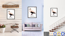 Load image into Gallery viewer, Eider Duck Bird Canvas Print, Black Picture Frame Gift Ideas Home Decor Wall Art Decoration